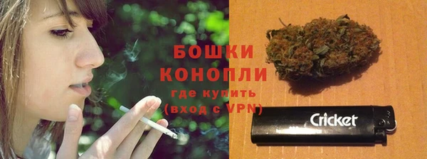 эйфоретик Богданович