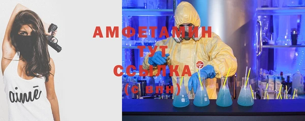 эйфоретик Богданович