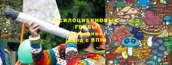 эйфоретик Богданович