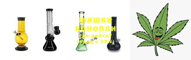 эйфоретик Богданович