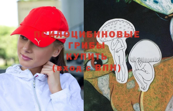 шишки Богородск