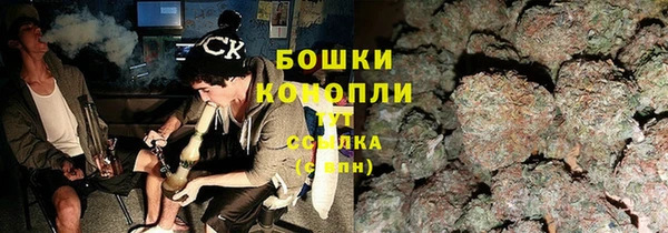 эйфоретик Богданович
