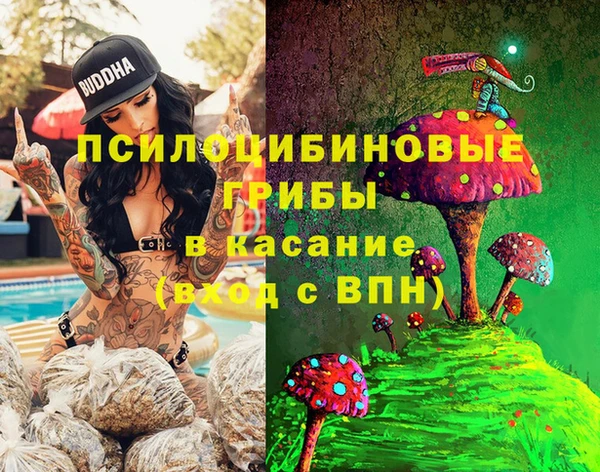 шишки Богородск