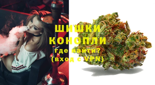 шишки Богородск