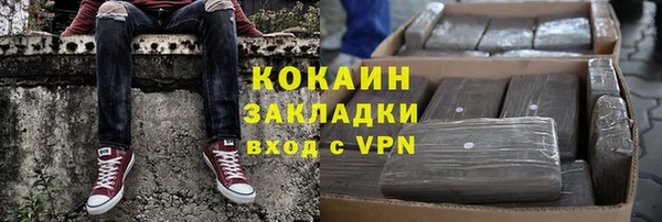 шишки Богородск