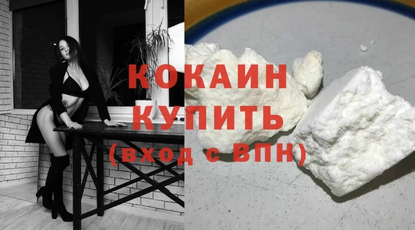 шишки Богородск